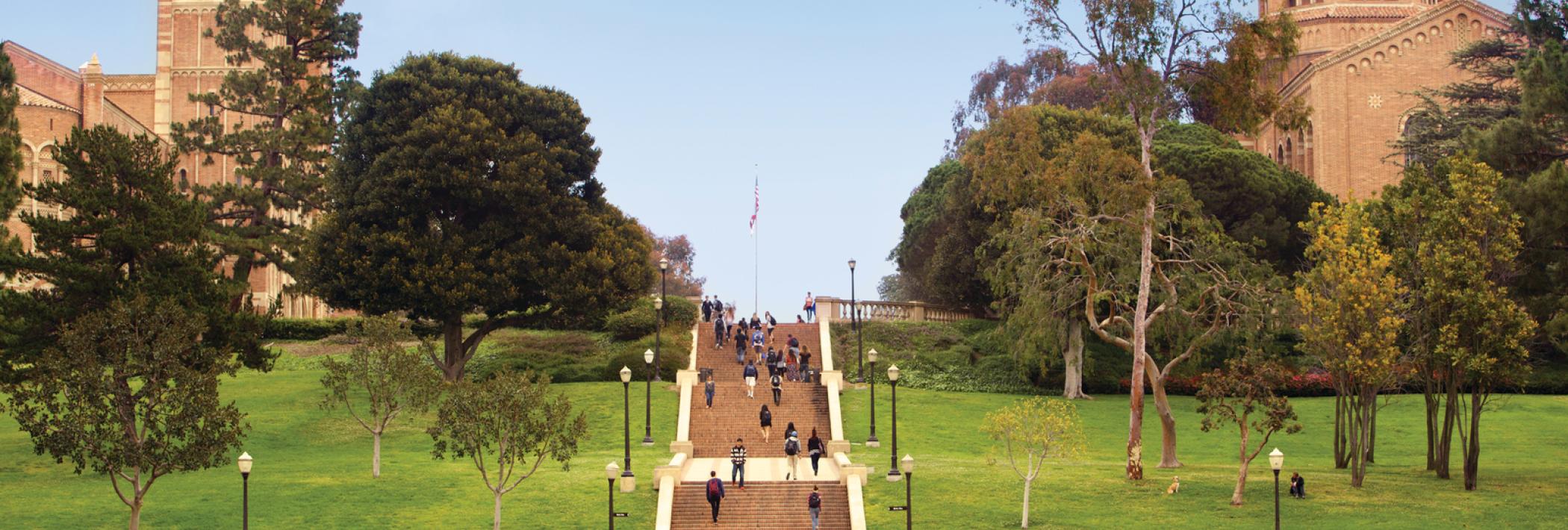 ucla jans steps